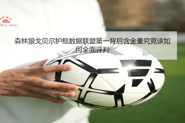 森林狼戈贝尔护框数据联盟第一背后含金量究竟该如何全面评判