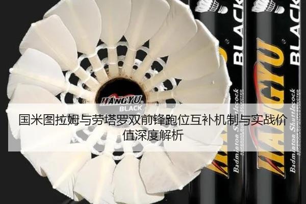 国米图拉姆与劳塔罗双前锋跑位互补机制与实战价值深度解析