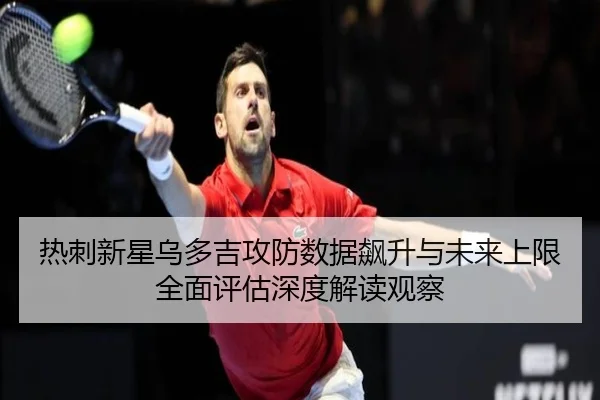 热刺新星乌多吉攻防数据飙升与未来上限全面评估深度解读观察