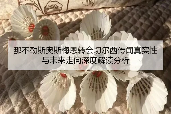 那不勒斯奥斯梅恩转会切尔西传闻真实性与未来走向深度解读分析